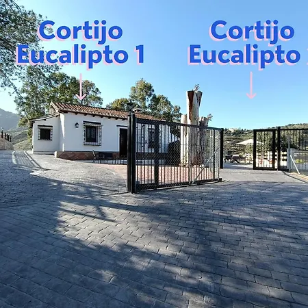 Holiday home Cortijo Eucalipto 1